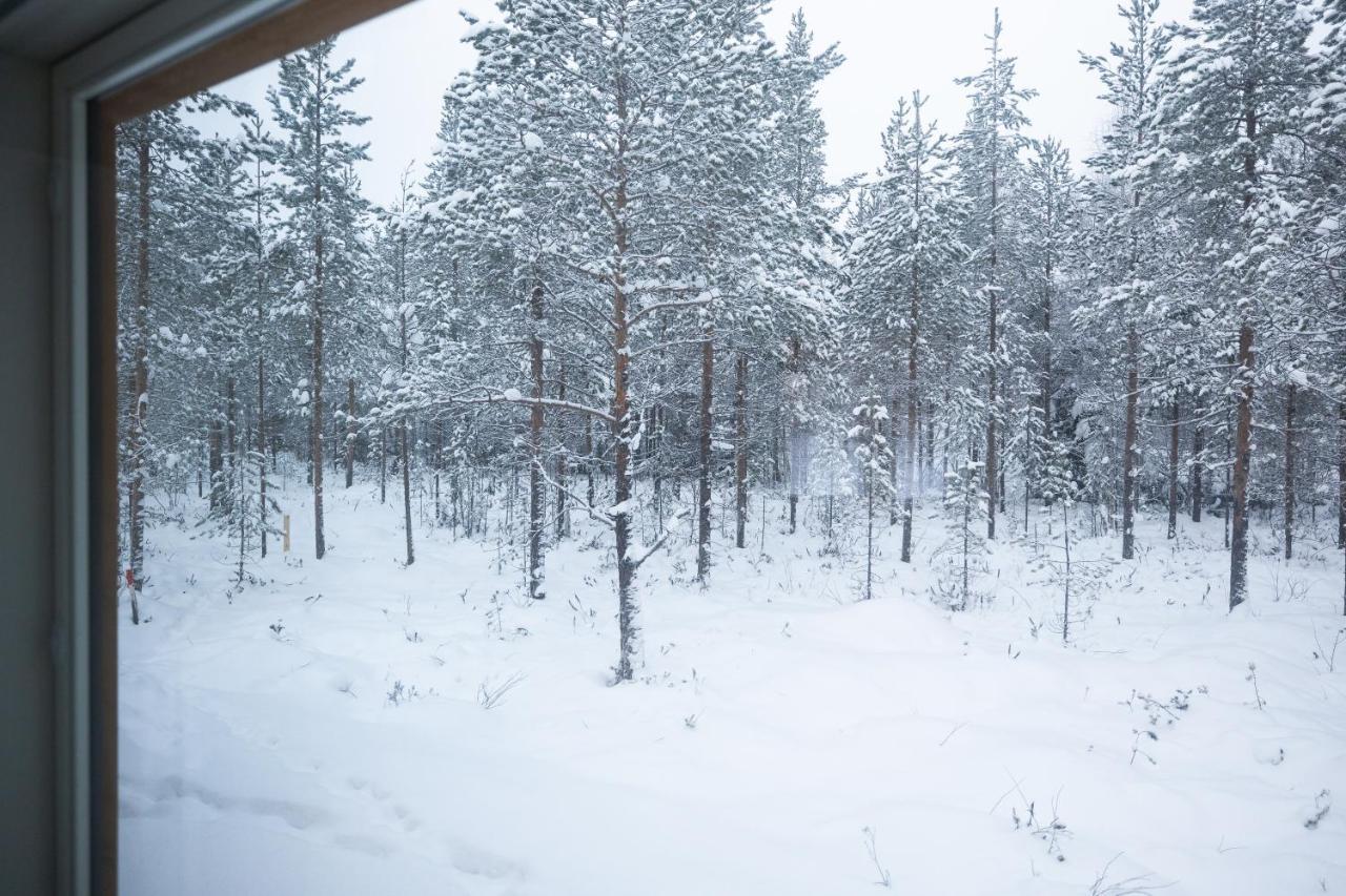 Premium Lapland With Jaguzzi Villa